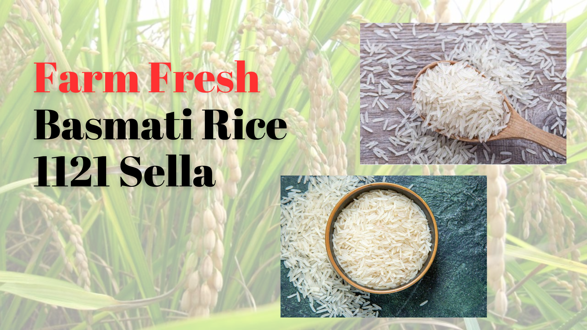 Sales Offer: Basmati Rice 1121 Sella