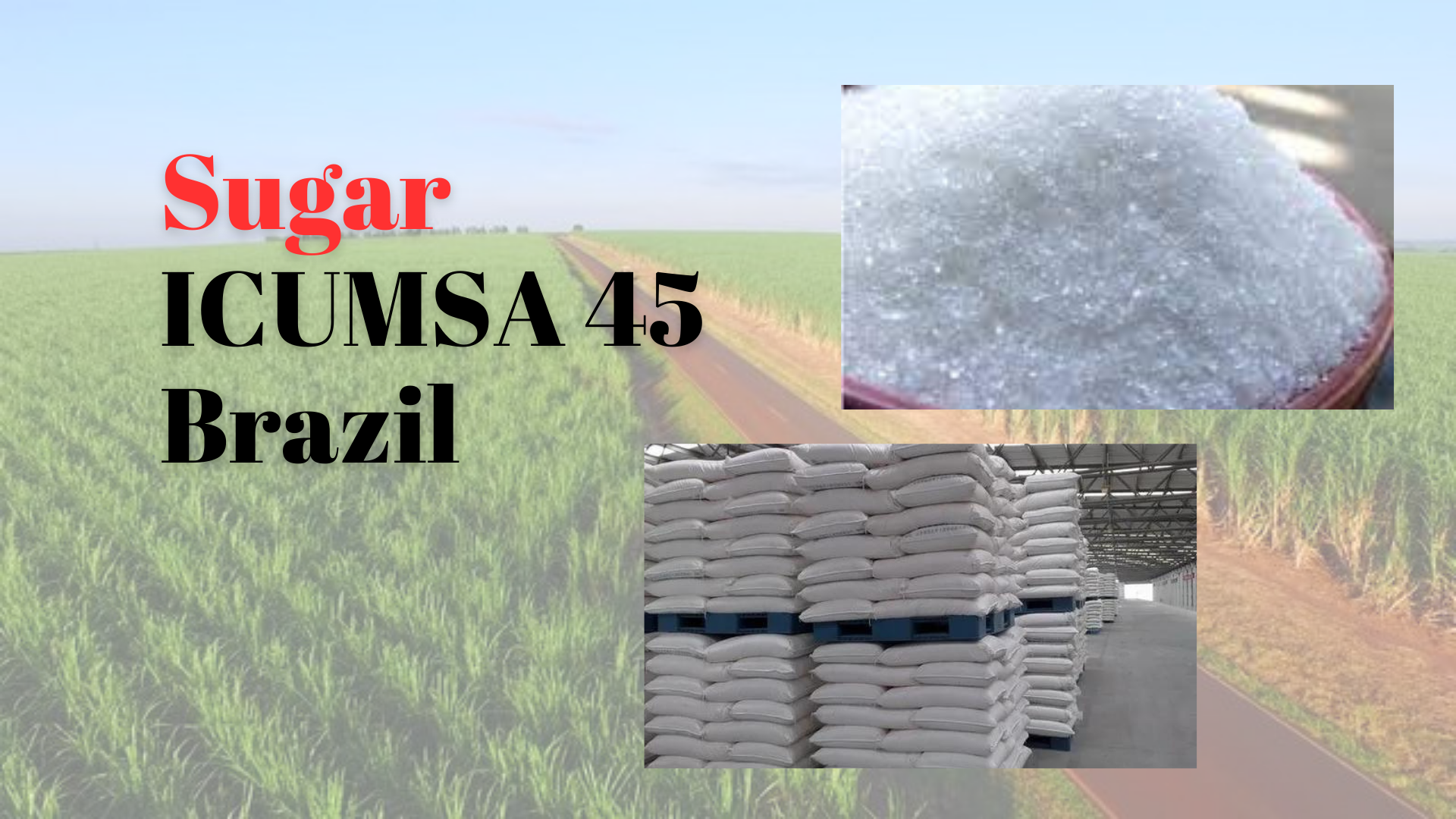 Sales Offer: Brazilian Sugar ICUMSA 45